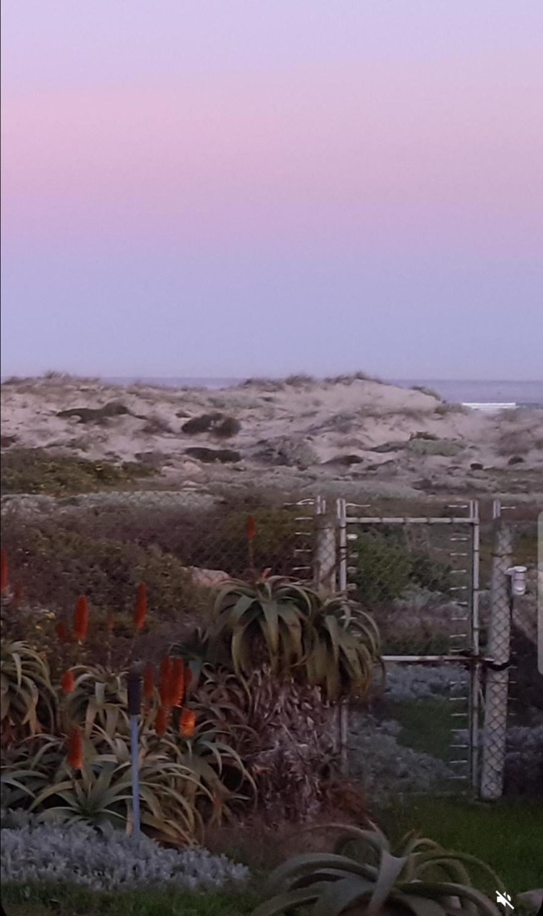 Beachmusic Cape Town Bagian luar foto