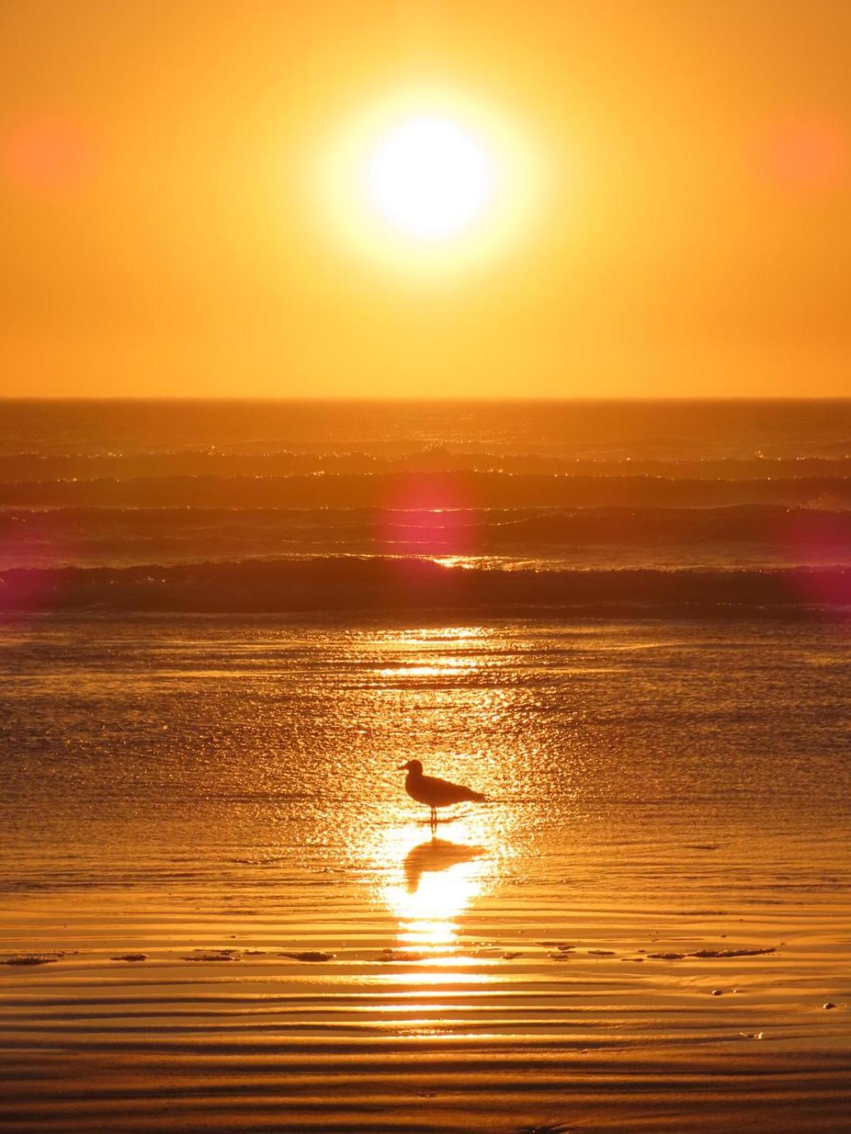 Beachmusic Cape Town Bagian luar foto